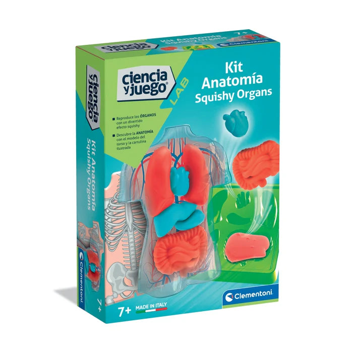 Set para crear tus propios órganos internos squishy blandos