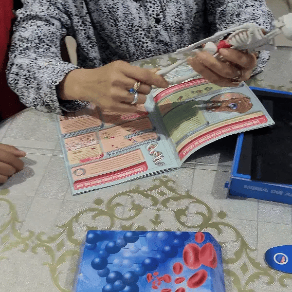 Laboratorio de Anatomía - Kit Educativo Interactivo 🦴