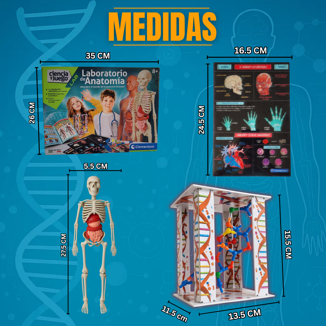 Laboratorio de Anatomía - Kit Educativo Interactivo 🦴