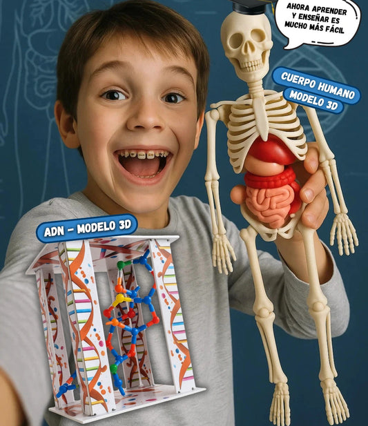 Laboratorio de Anatomía - Kit Educativo Interactivo 🦴