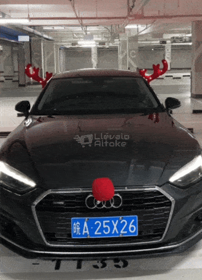 Disfraz de Reno Con luces para Automóvil 🦌