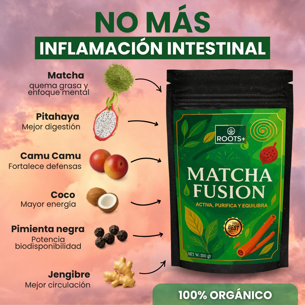 Matcha Fusion - Activa, Purifica y Equilibracon Mezcla en Polvo de Superalimentos - Roots™ (250gr)