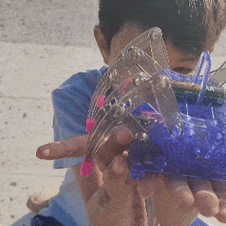 Spider Bot - Tu primer robot educativo 🕷️